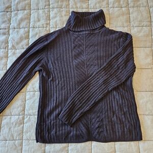 Requirements Women's Ribbed Turtleneck Sweater
